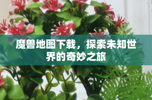 探索未知世界的奇妙之旅图片
