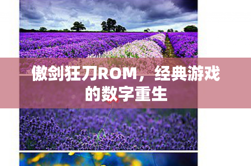 傲剑狂刀ROM，经典游戏的数字重生