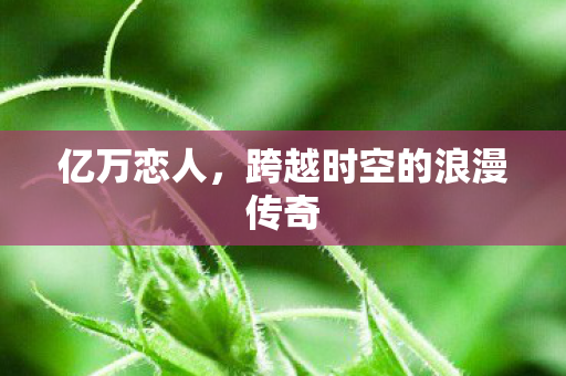 亿万恋人，跨越时空的浪漫传奇