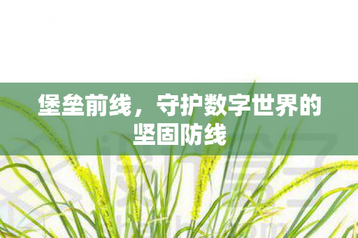 堡垒前线，守护数字世界的坚固防线
