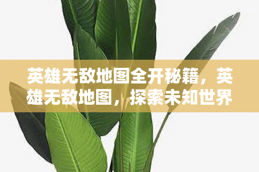 英雄无敌地图全开秘籍，英雄无敌地图，探索未知世界的奇妙之旅