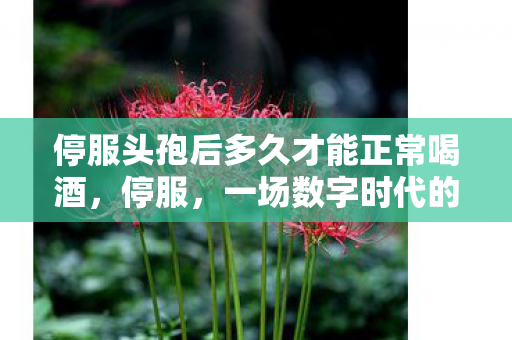 停服头孢后多久才能正常喝酒，停服，一场数字时代的告别仪式