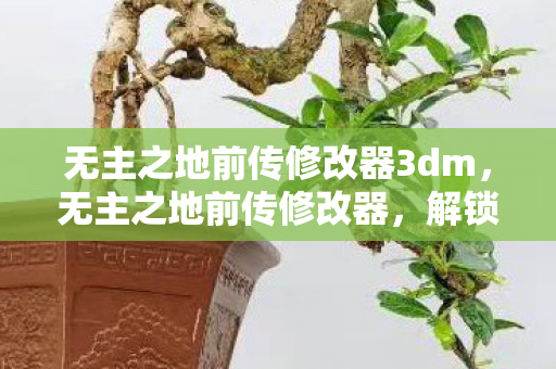 无主之地前传修改器3dm，无主之地前传修改器，解锁无限可能的工具