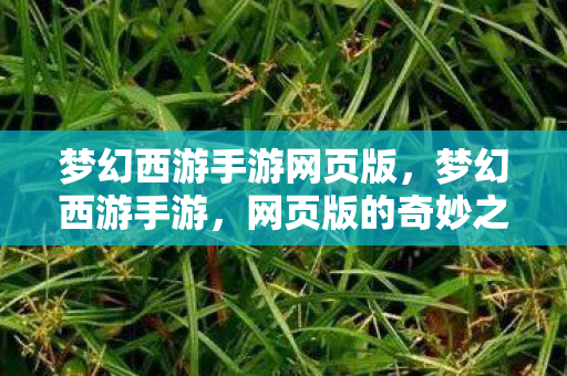 梦幻西游手游网页版，梦幻西游手游，网页版的奇妙之旅
