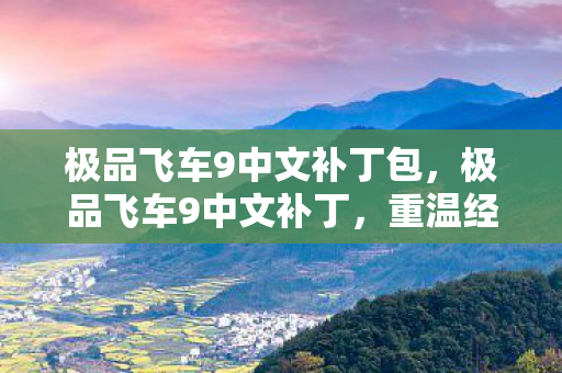 极品飞车9中文补丁包，极品飞车9中文补丁，重温经典，语言无界
