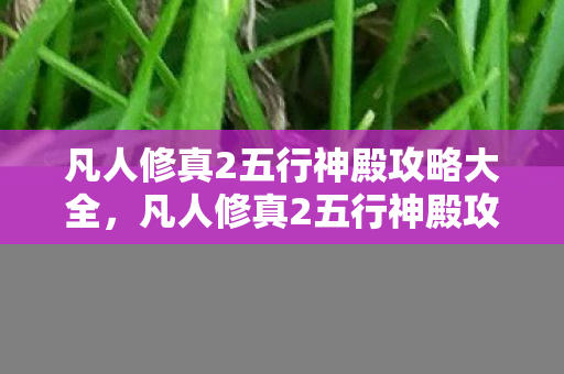 凡人修真2五行神殿攻略大全,凡人修真2五行神殿攻略 凡人修真2五行神殿攻略大全,凡人修真2五行神殿攻略