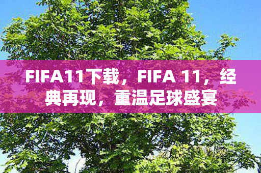 FIFA11下载，FIFA 11，经典再现，重温足球盛宴