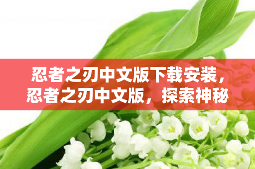 忍者之刃中文版下载安装，忍者之刃中文版，探索神秘忍术世界的冒险之旅