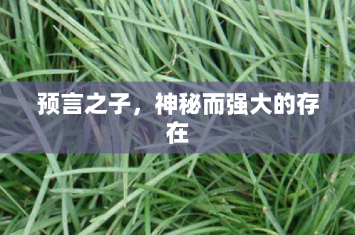 预言之子，神秘而强大的存在