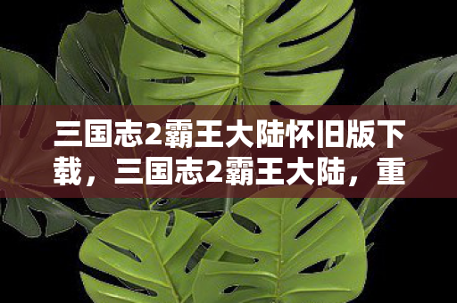 三国志2霸王大陆怀旧版下载，三国志2霸王大陆，重温经典战场的策略与激情