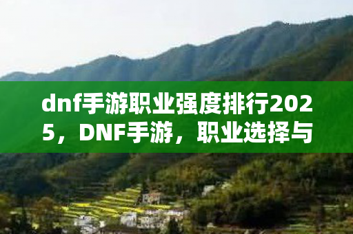 dnf手游职业强度排行2025，DNF手游，职业选择与角色发展攻略