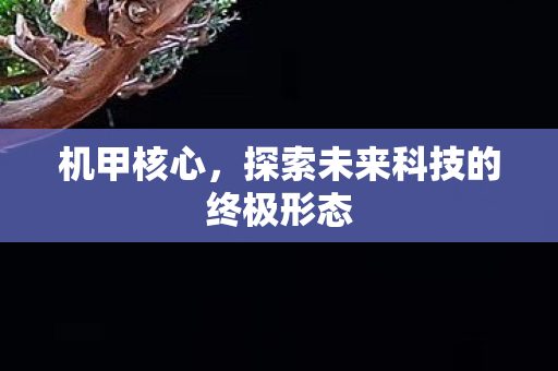 机甲核心，探索未来科技的终极形态