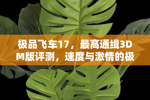 极品飞车17，最高通缉3DM版评测，速度与激情的极致体验