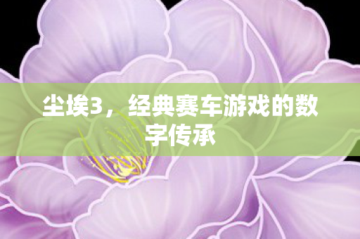 经典赛车游戏的数字传承图片