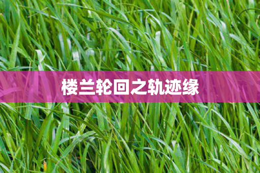 楼兰轮回之轨迹缘
