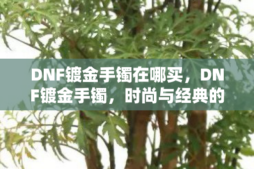 DNF镀金手镯在哪买，DNF镀金手镯，时尚与经典的完美结合