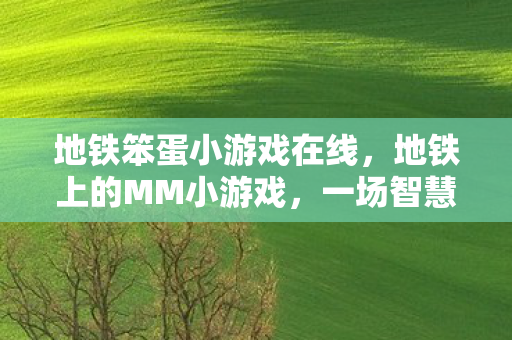 地铁笨蛋小游戏在线,地铁上的MM小游戏,一场智慧与趣味的碰撞 地铁笨蛋小游戏在线,地铁上的MM小游戏,一场智慧与趣味的碰撞