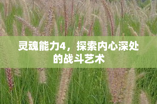 灵魂能力4，探索内心深处的战斗艺术