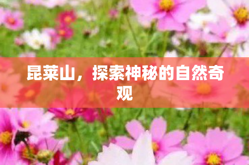 昆莱山，探索神秘的自然奇观