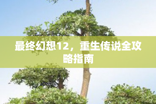 重生传说全攻略指南图片