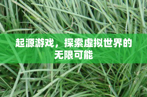 起源游戏，探索虚拟世界的无限可能