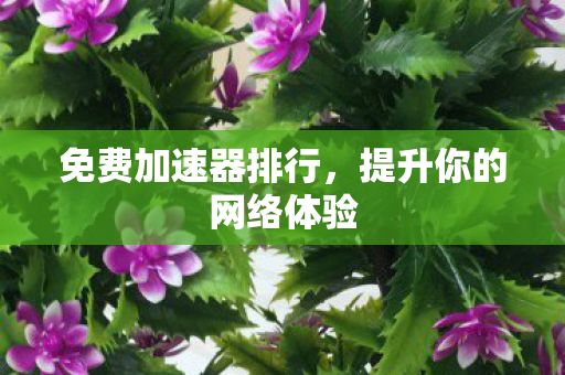 免费加速器排行，提升你的网络体验