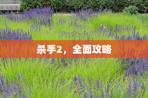 杀手2，全面攻略
