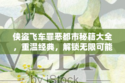 侠盗飞车罪恶都市秘籍大全，重温经典，解锁无限可能