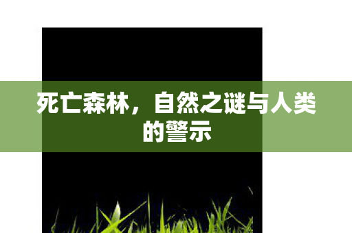 自然之谜与人类的警示图片