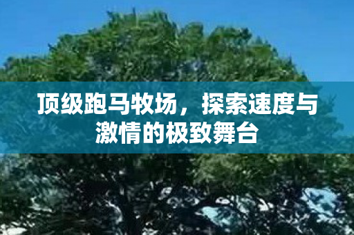 顶级跑马牧场，探索速度与激情的极致舞台