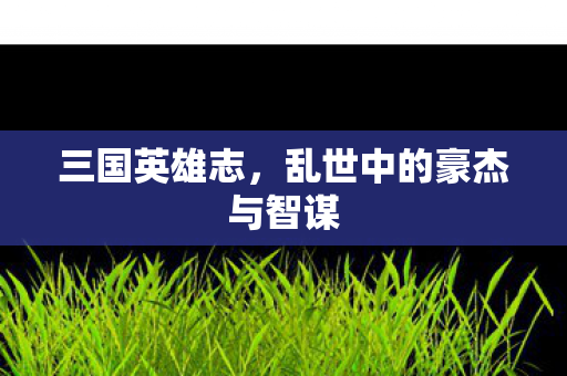 三国英雄志，乱世中的豪杰与智谋
