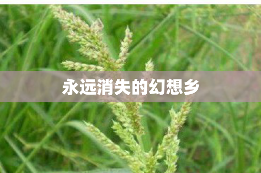 永远消失的幻想乡