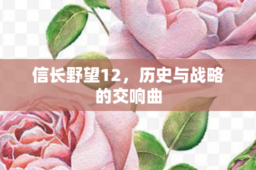 信长野望12，历史与战略的交响曲