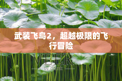 武装飞鸟2，超越极限的飞行冒险
