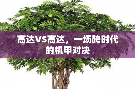 高达VS高达，一场跨时代的机甲对决