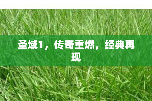 圣域1，传奇重燃，经典再现