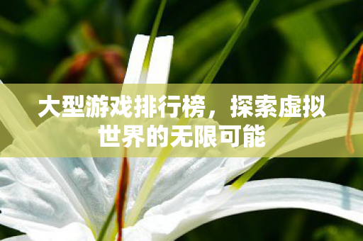 大型游戏排行榜，探索虚拟世界的无限可能