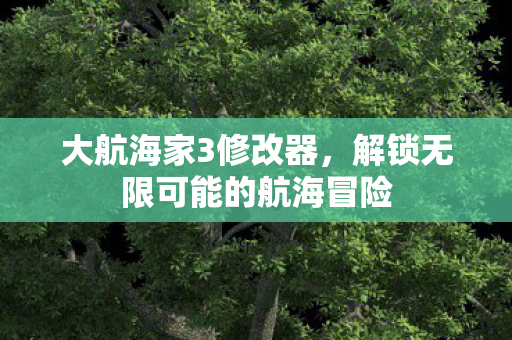 大航海家3修改器，解锁无限可能的航海冒险