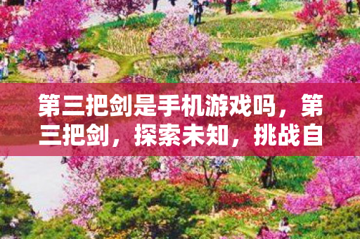 第三把剑是手机游戏吗图片