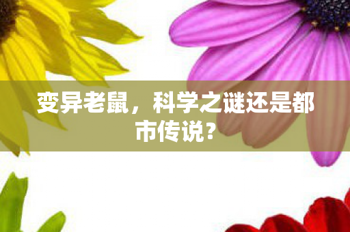 变异老鼠，科学之谜还是都市传说？
