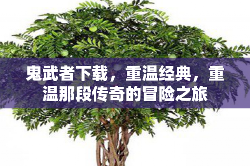 鬼武者下载，重温经典，重温那段传奇的冒险之旅