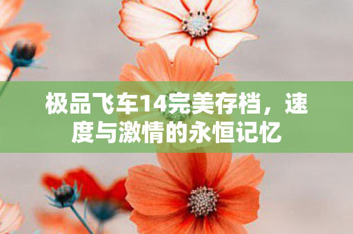 极品飞车14完美存档，速度与激情的永恒记忆