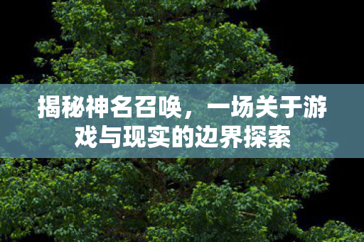 揭秘神名召唤，一场关于游戏与现实的边界探索
