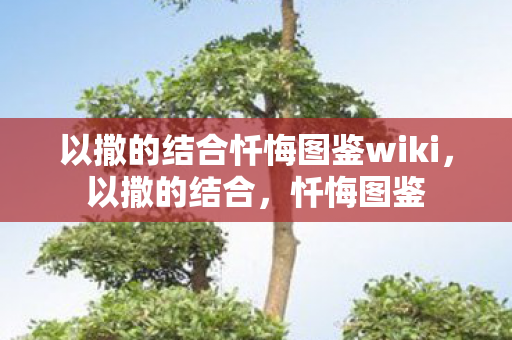 以撒的结合忏悔图鉴wiki，以撒的结合，忏悔图鉴