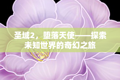 圣域2，堕落天使——探索未知世界的奇幻之旅