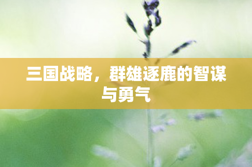 群雄逐鹿的智谋与勇气图片