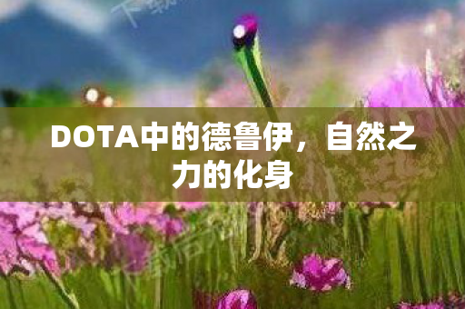 DOTA中的德鲁伊，自然之力的化身