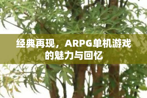 经典再现，ARPG单机游戏的魅力与回忆