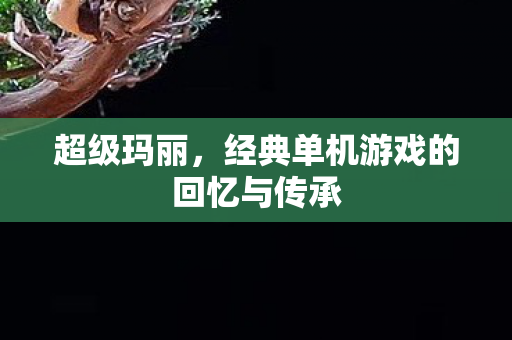 经典单机游戏的回忆与传承图片