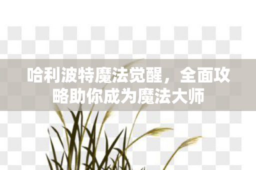 哈利波特魔法觉醒，全面攻略助你成为魔法大师